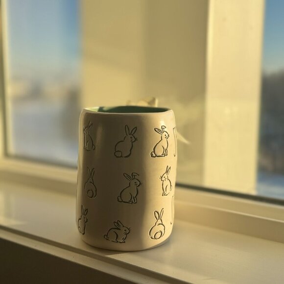Spring Has Sprung Bunny Mug - Easter Gift & Rae Dunn Decor - Picture 2 of 3